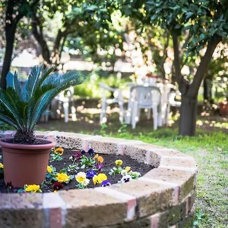 Sull'anfiteatro Apartment Santa Maria Capua Vetere